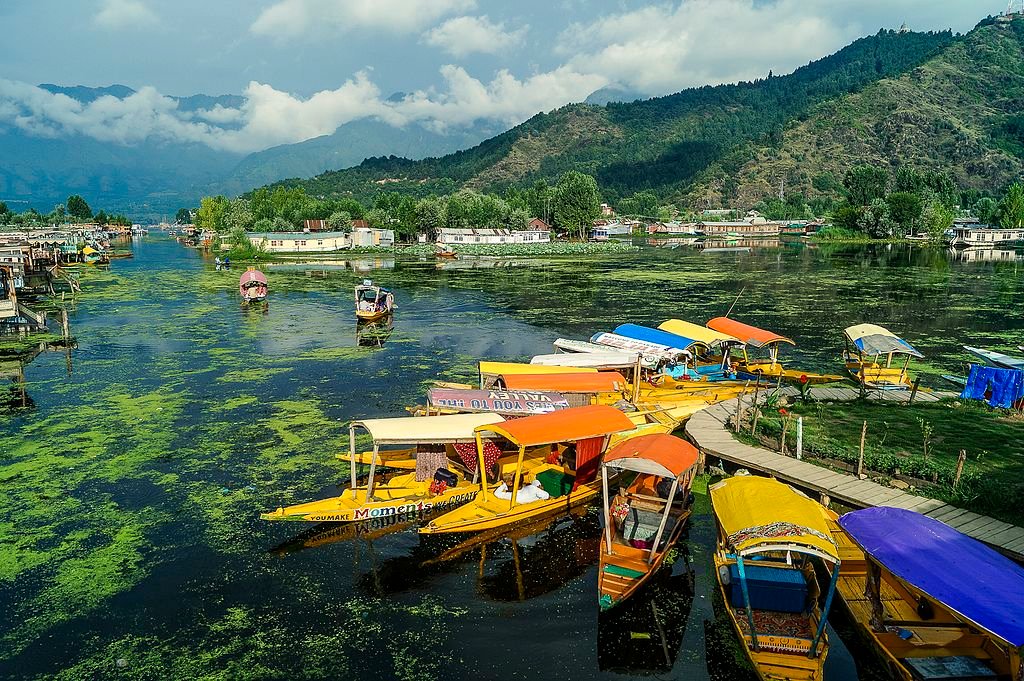 Dal Lake shikaras against snow-capped mountains in Srinagar, Kashmir